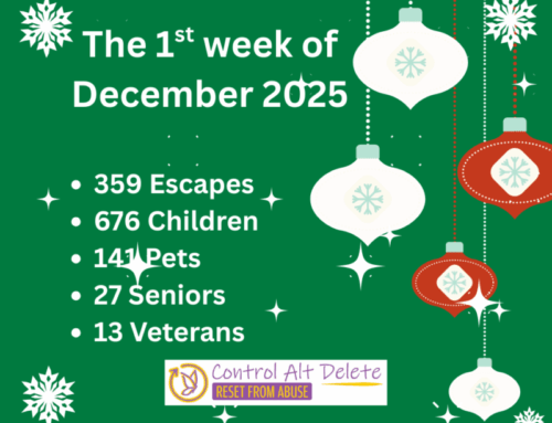 1st Week of December 2025